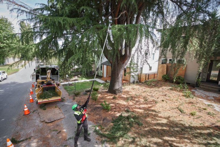 MILWAUKEE M18 FUEL™ FTPS30-121 ΤΗΛΕΣΚΟΠΙΚΟ ΚΟΝΤΑΡΟΑΛΥΣΟΠΡΙΟΝΟ 30CM - Image 3