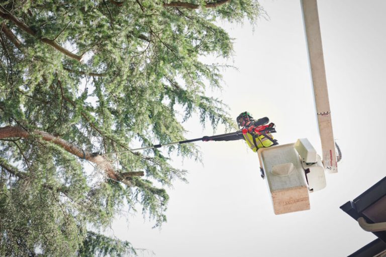 MILWAUKEE M18 FUEL™ FTPS30-121 ΤΗΛΕΣΚΟΠΙΚΟ ΚΟΝΤΑΡΟΑΛΥΣΟΠΡΙΟΝΟ 30CM - Image 2